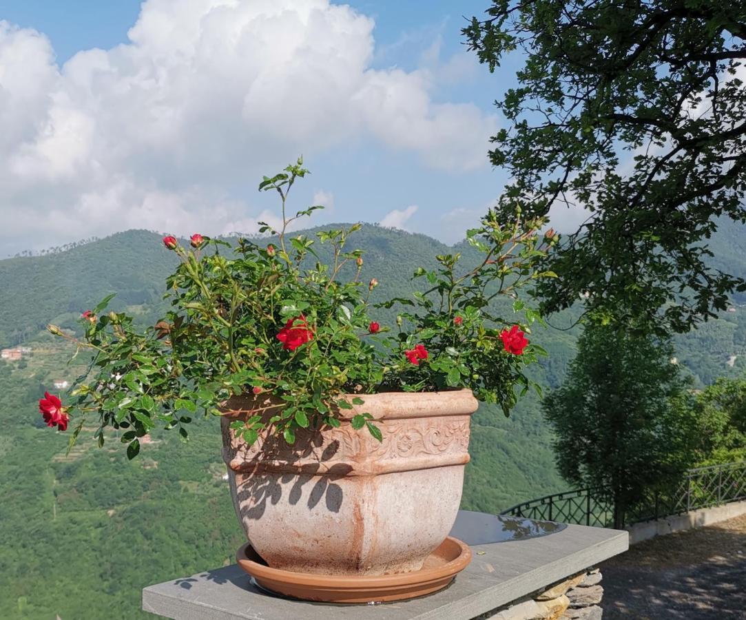 Elsa House Bed & Breakfast Mezzanego Exterior photo
