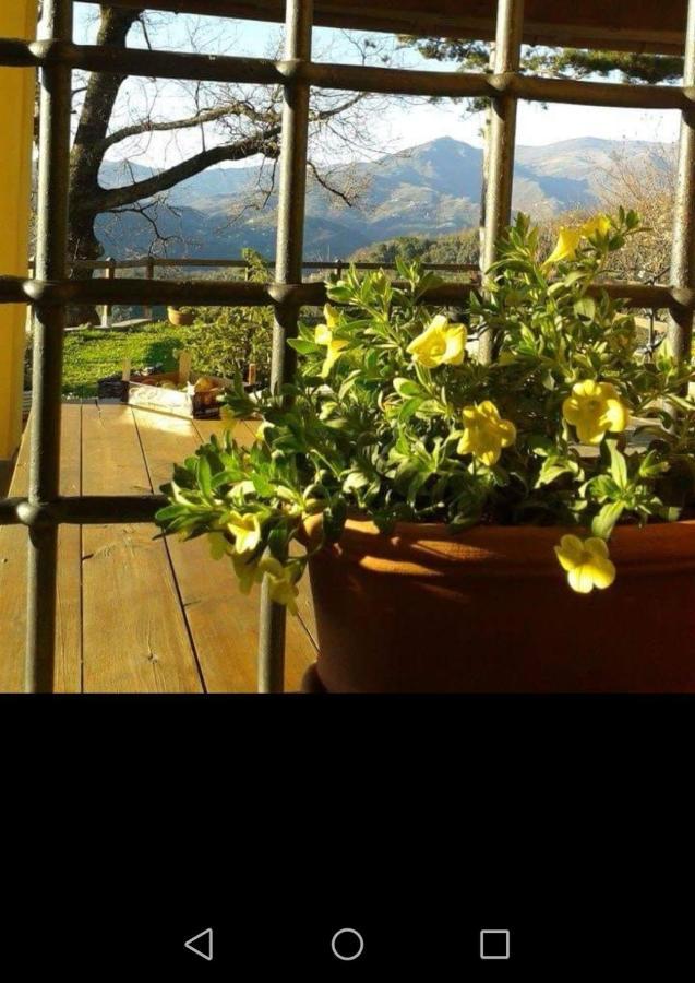 Elsa House Bed & Breakfast Mezzanego Exterior photo