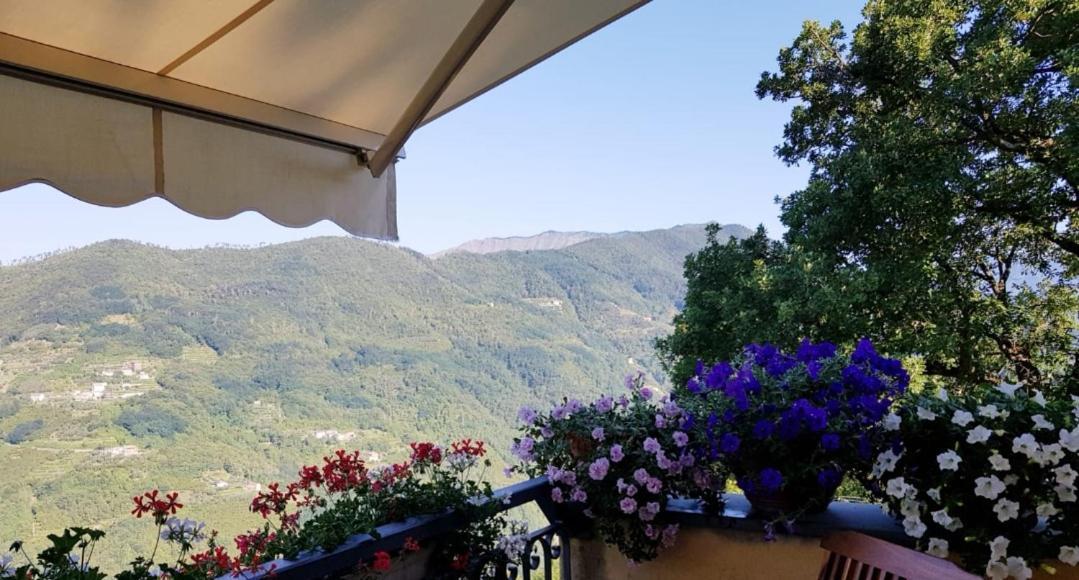 Elsa House Bed & Breakfast Mezzanego Exterior photo